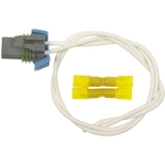 Order Electric Window Connector by STANDARD - PRO SERIES - S1416 For Your Vehicle