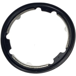 Order DORMAN (HD SOLUTIONS) - 904-5155 - Exhaust Gas Recirculation (EGR) Cooler Gasket For Your Vehicle