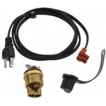 Order Engine Block Heater by PHILLIPS & TEMRO - 3100098 For Your Vehicle