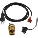 Order Engine Block Heater by ZEROSTART/TEMRO - 3100098 For Your Vehicle