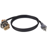 Order Engine Block Heater by ZEROSTART/TEMRO - 3100125 For Your Vehicle