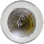 Order PHILIPS - 1895LLB2 - Miniatures LongerLife Replacement Bulbs For Your Vehicle