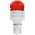 Order PHILIPS - 921RLED - Multi Purpose Light Bulb For Your Vehicle