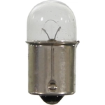 Order WAGNER - BP17171 - Bulb For Your Vehicle