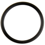 Order MAHLE ORIGINAL - C32328 - Engine Coolant Water Pipe O-Ring For Your Vehicle