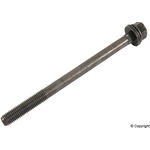Order Engine Cylinder Head Bolt by GENUINE OE - 07 13 1 487 226 For Your Vehicle