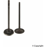 Order Engine Intake Valve by GENUINE OE - 14711 RNA A00 For Your Vehicle