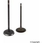 Order Engine Intake Valve by GENUINE OE - 14711 RYE A00 For Your Vehicle