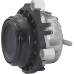 Order Engine Mount Front Right by WESTAR INDUSTRIES - EM7331 For Your Vehicle