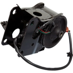 Order Engine Mount Rear by WESTAR INDUSTRIES - EM5818 For Your Vehicle