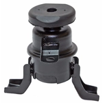 Order Engine Mount Right by WESTAR INDUSTRIES - EM4033 For Your Vehicle