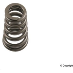 Order Engine Valve Spring by GENUINE OE - 996 105 119 53 For Your Vehicle