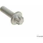 Order Engine Water Pump Bolt by GENUINE OE - 11 51 7 602 123 For Your Vehicle