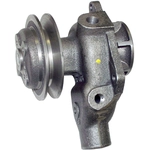 Order CROWN AUTOMOTIVE JEEP REPLACEMENT - J8126774 - Water Pump For Your Vehicle