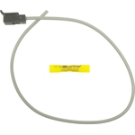 Order Engine Wiring Connector by BLUE STREAK (HYGRADE MOTOR) - S1123 For Your Vehicle