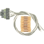 Order Engine Wiring Connector by BLUE STREAK (HYGRADE MOTOR) - S1146 For Your Vehicle