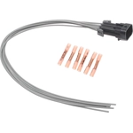 Order Engine Wiring Connector by BLUE STREAK (HYGRADE MOTOR) - S1747 For Your Vehicle