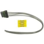 Order BLUE STREAK (HYGRADE MOTOR) - HP4795 - Engine Wiring Connector For Your Vehicle