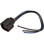 Order BLUE STREAK (HYGRADE MOTOR) - HP4740 - Headlamp Socket For Your Vehicle