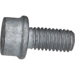 Order Exhaust Bolt by CRP/REIN - HWB1059 For Your Vehicle