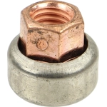 Order Exhaust Nut by CRP/REIN - HWN0092 For Your Vehicle