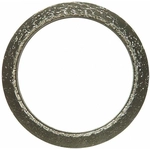 Order FEL-PRO - 60718 - Exhaust Pipe Flange Gasket For Your Vehicle