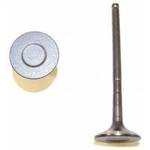 Order Exhaust Valve by DNJ ENGINE COMPONENTS - EV946 For Your Vehicle