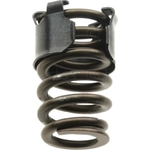 Order MOPAR - 53021873AA - Exhaust Valve Spring For Your Vehicle