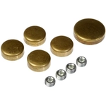 Order Expansion Plug (Block Parts) by DORMAN/AUTOGRADE - 565-034 For Your Vehicle