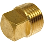 Order DORMAN/AUTOGRADE - 785-072 - Pipe Plug For Your Vehicle