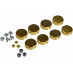 Order Expansion Plug Kit (Block Parts) by DORMAN/AUTOGRADE - 567-001 For Your Vehicle