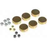 Order Expansion Plug Kit (Block Parts) by DORMAN/AUTOGRADE - 567-011 For Your Vehicle