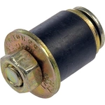 Order Expansion Plug Kit (Block Parts) by DORMAN (OE SOLUTIONS) - 570003 For Your Vehicle