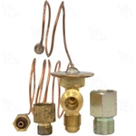 Order Expansion Valve by FOUR SEASONS - 38629 For Your Vehicle