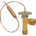 Order Expansion Valve by FOUR SEASONS - 38869 For Your Vehicle