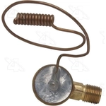 Order Expansion Valve by FOUR SEASONS - 39248 For Your Vehicle