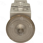 Order Expansion Valve by FOUR SEASONS - 39301 For Your Vehicle