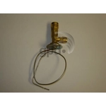 Order Expansion Valve by GLOBAL PARTS DISTRIBUTORS - 3411273 For Your Vehicle