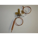 Order Expansion Valve by GLOBAL PARTS DISTRIBUTORS - 3411343 For Your Vehicle