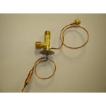 Order Expansion Valve by GLOBAL PARTS DISTRIBUTORS - 3411349 For Your Vehicle