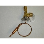 Order Expansion Valve by GLOBAL PARTS DISTRIBUTORS - 3411354 For Your Vehicle