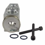 Order Expansion Valve by MOTORCRAFT - YG433 For Your Vehicle