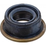 Order Extension Housing Seal by SKF - 5553 For Your Vehicle