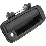 Order Poignée de porte extérieure by DORMAN/HELP - 77251 For Your Vehicle