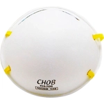 Order Face Respirator by HO SAFETY - N95-910 For Your Vehicle