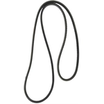Order CONTINENTAL - 15440 - Accessory Drive Belt - Automotive V- Belt For Your Vehicle