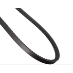 Order CONTINENTAL - 15425 - Accessory Drive Belt - Automotive V- Belt For Your Vehicle