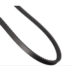 Order CONTINENTAL - 15525 - Accessory Drive Belt - Automotive V- Belt For Your Vehicle