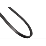 Order Accessory Drive Belt - Automotive V-Belt by CONTINENTAL - 17581 For Your Vehicle