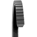 Order Fan Belt by DAYCO - 17340 For Your Vehicle